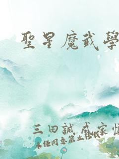 圣星魔武学院