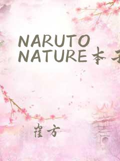 NARUTO NATURE本子