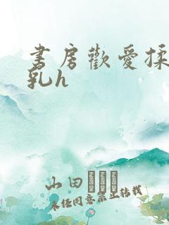 书房欢爱揉捏娇乳h