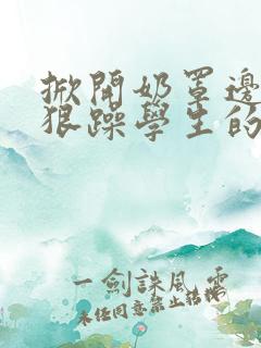 掀开奶罩边躁狠狠躁学生的小文字