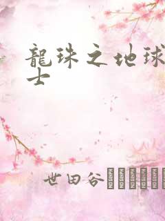 龙珠之地球人战士