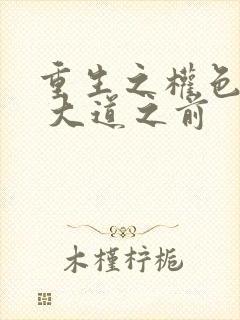 重生之权色巅峰 大道之前