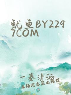 鱿鱼BY2297COM