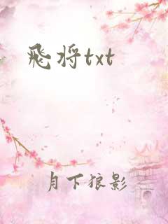 飞将txt