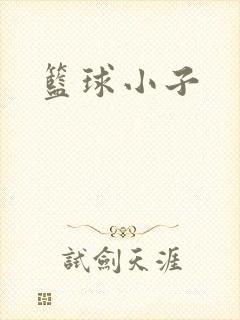 篮球小子