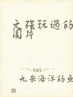 文强玩过的女人图片