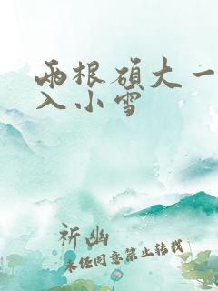 两根硕大一起挤入小雪