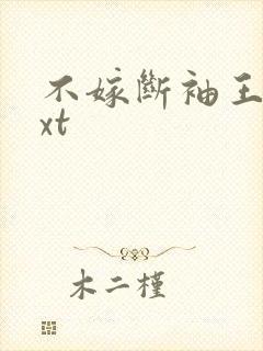 不嫁断袖王爷txt