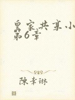 皇家共享小公主第6章