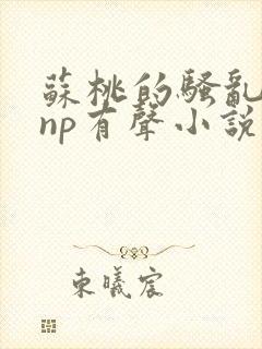 苏桃的骚乱文肉np有声小说