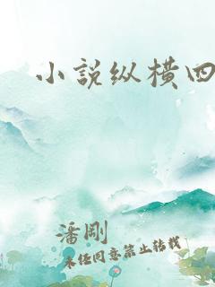 小说纵横四海