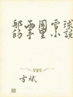 那两团雪球在他的手里小说