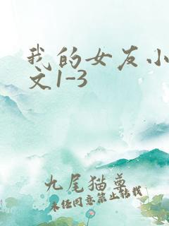 我的女友小洁全文1-3