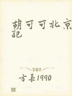 胡可可北京成功记