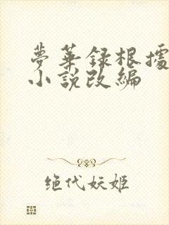 梦华录根据什么小说改编