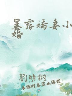 暴露娇妻小月新婚