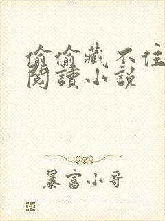 偷偷藏不住免费阅读小说