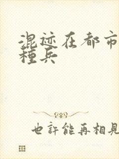 混迹在都市的特种兵