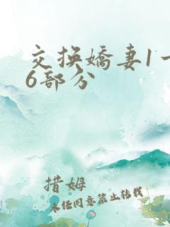 交换娇妻1一36部分