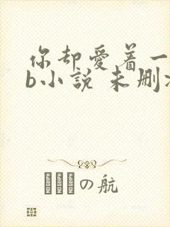 你却爱着一个sb小说 未删减完整版百度云