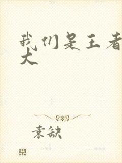 我们是王者立海大