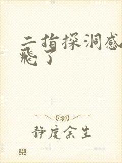 二指探洞感觉要飞了