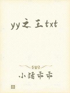 yy之王txt