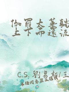 伽罗太华躺在床上下面还流东西