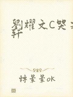 刘耀文C哭宋亚轩