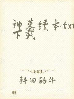 神墓续本txt下载