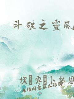 斗破之灵风