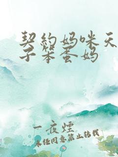 契约妈咪天才儿子笨蛋妈