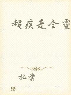 超疾走全灵兵器