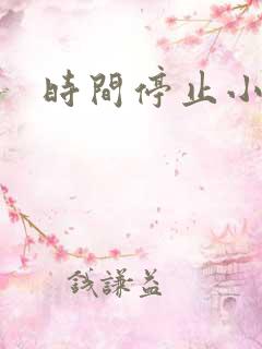 时间停止小说