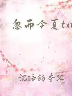 忽而今夏txt