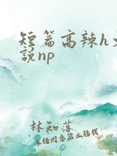短篇高辣h文小说np