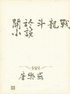 关于斗龙战士的小说