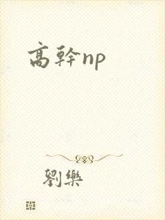 高干np