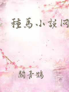 种马小说网