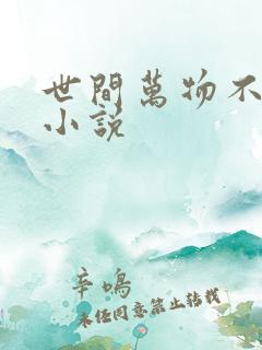 世间万物不及你小说