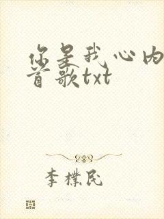 你是我心内的一首歌txt