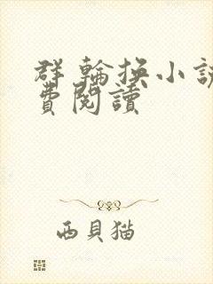 群 轮换小说免费阅读