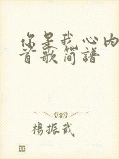 你是我心内的一首歌简谱