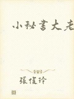 小秘书大老婆