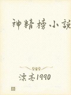 神精榜小说