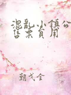 混乱小镇公交车售票员用