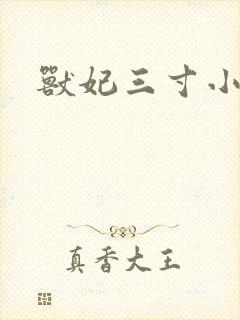 兽妃三寸小狂妻