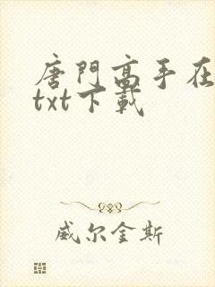 唐门高手在异世txt下载