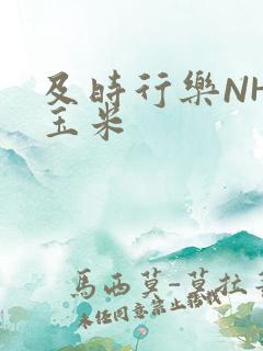 及时行乐NHP玉米