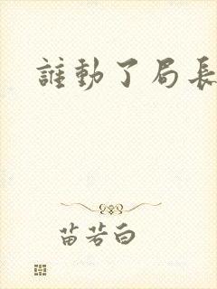 谁动了局长夫人